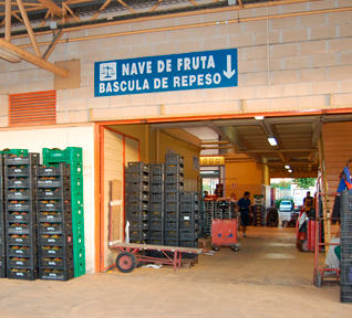 fruta-2