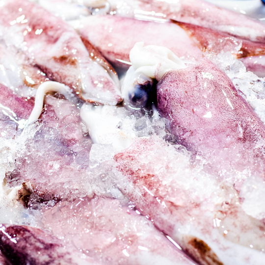 marisco-congelado-mercaolid Calamares cogelados